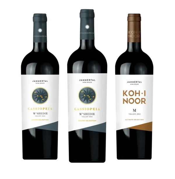 Nagy Merlot Vertikális